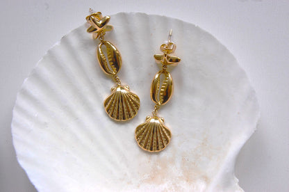 SHELLS AND STARS OHRRINGE