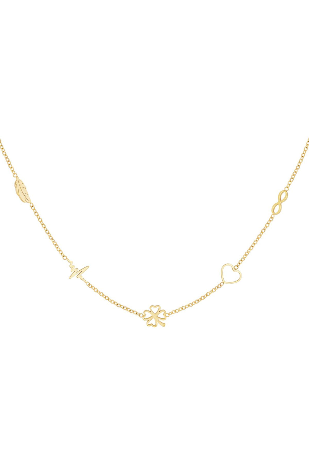 Die Therry Halskette aus Edelstahl ist mit verschiedenen Charms verziert. Sie besteht aus fünf unterschiedlichen Charms in Form eines Herzens, des Unendlichkeitssymbols, einer Feder, eines Herzschlags und eines Kleeblatts. 
